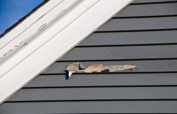 Best Construction Debris Removal  in Hemby Bridge, NC